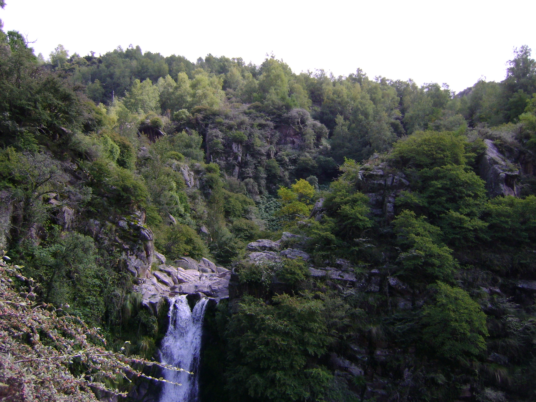 fotos/2011 - Los Reartes/DSC03415.JPG